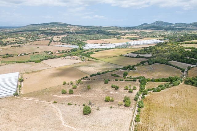 Building Plot for sale in Manacor - € 400,000 (Ref: 7638253)