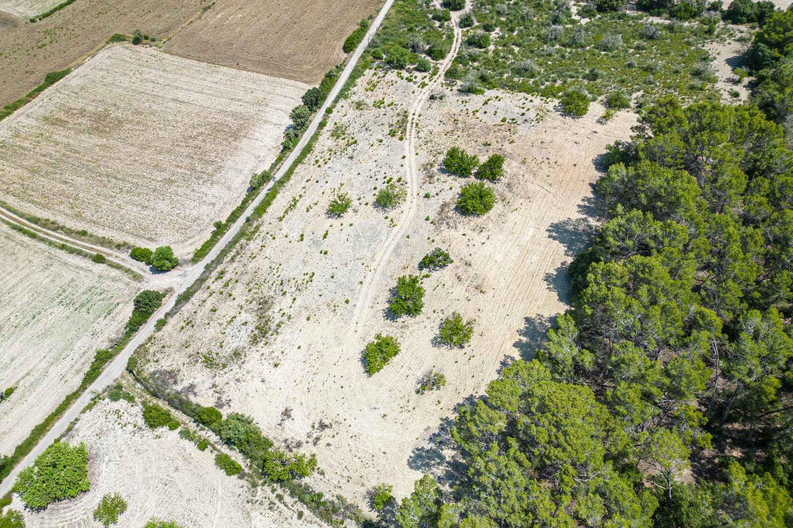 Building Plot for sale in Porreres - € 50,000 (Ref: 7717548)