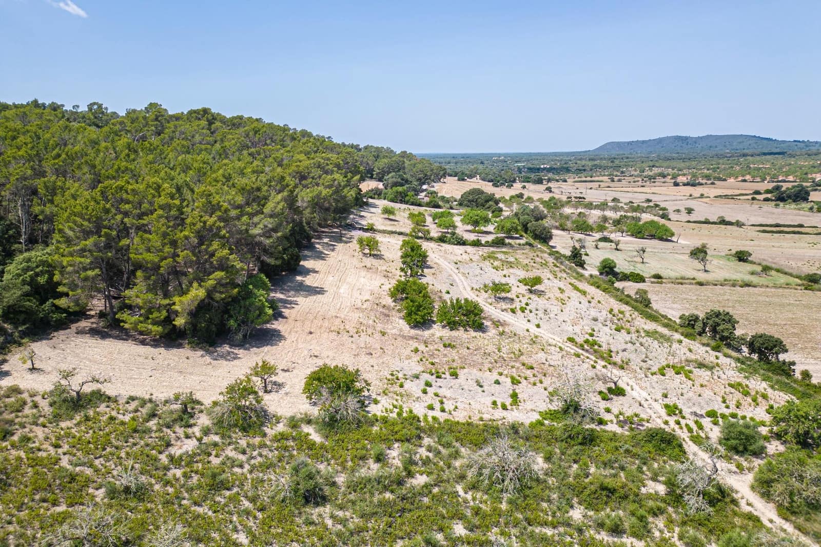 Building Plot for sale in Porreres - € 50,000 (Ref: 7717548)