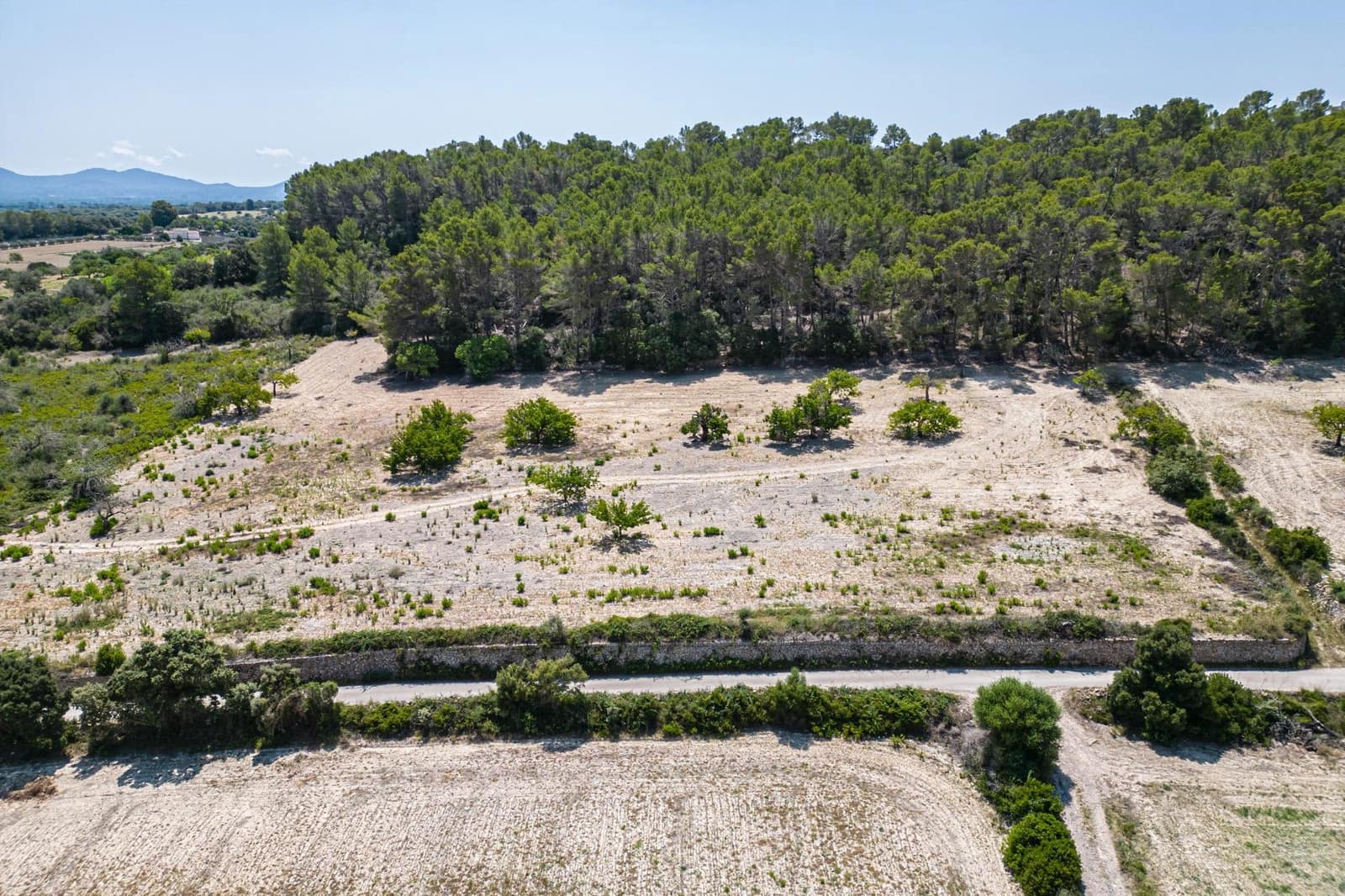 Building Plot for sale in Porreres - € 50,000 (Ref: 7717548)