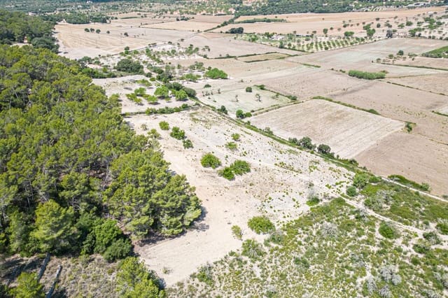 Tomt till salu i Porreres - 50 000 € (Ref: 7717548)