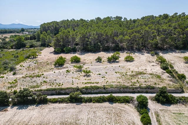 Tomt till salu i Porreres - 50 000 € (Ref: 7717548)