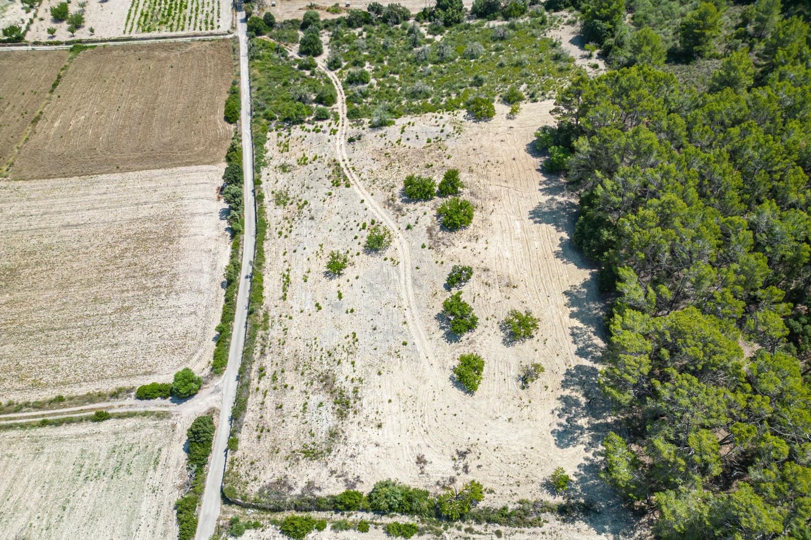 Building Plot for sale in Porreres - € 50,000 (Ref: 7717548)