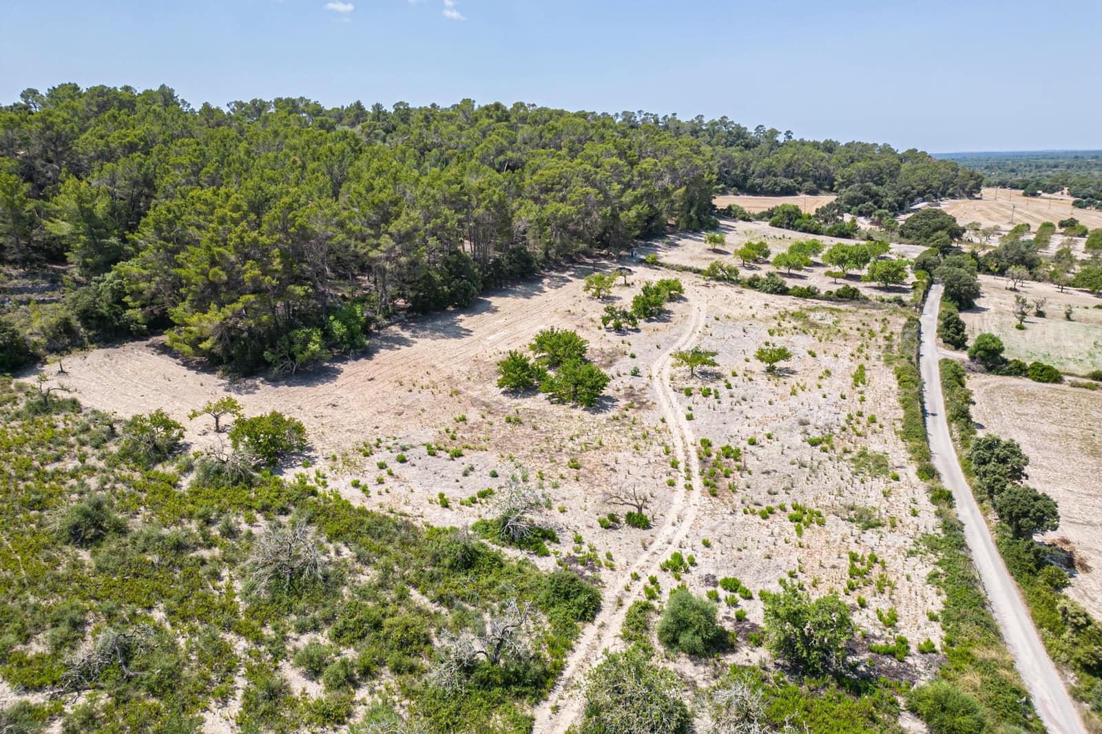 Building Plot for sale in Porreres - € 50,000 (Ref: 7717548)