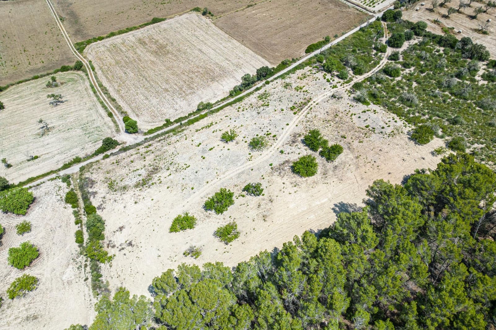 Building Plot for sale in Porreres - € 50,000 (Ref: 7717548)