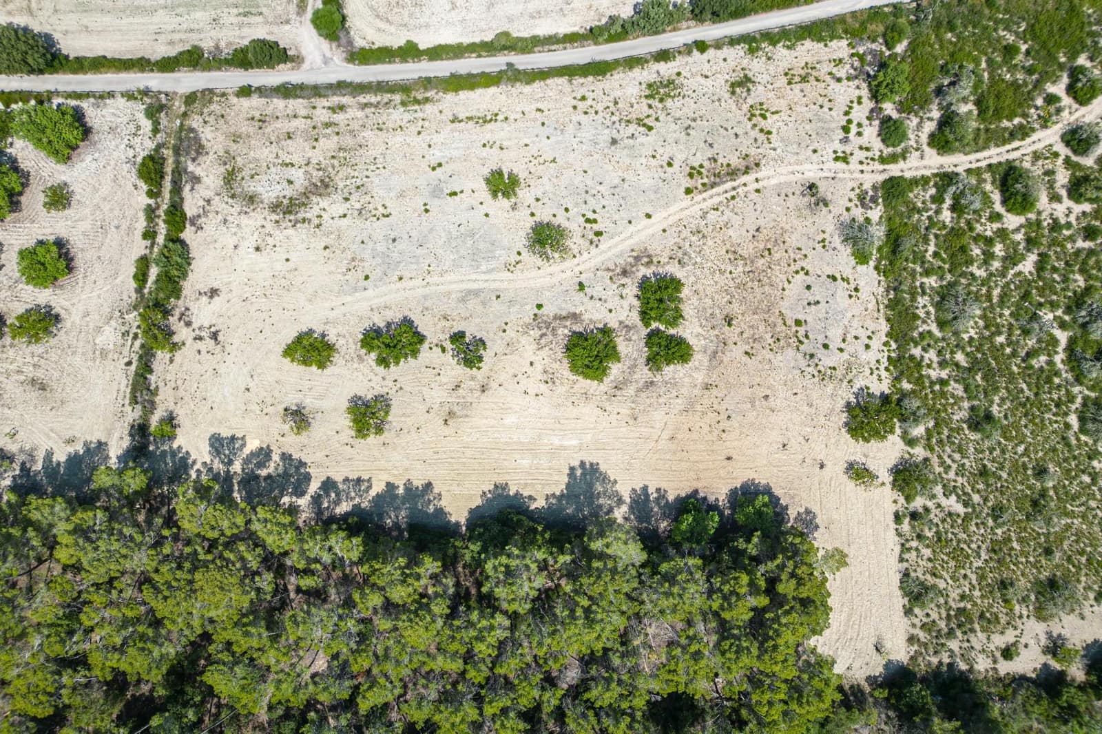 Building Plot for sale in Porreres - € 50,000 (Ref: 7717548)