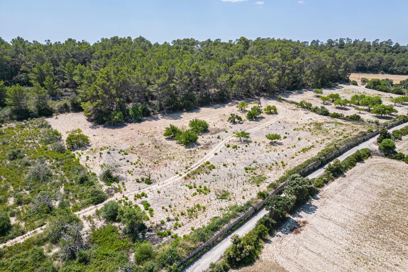 Building Plot for sale in Porreres - € 50,000 (Ref: 7717548)