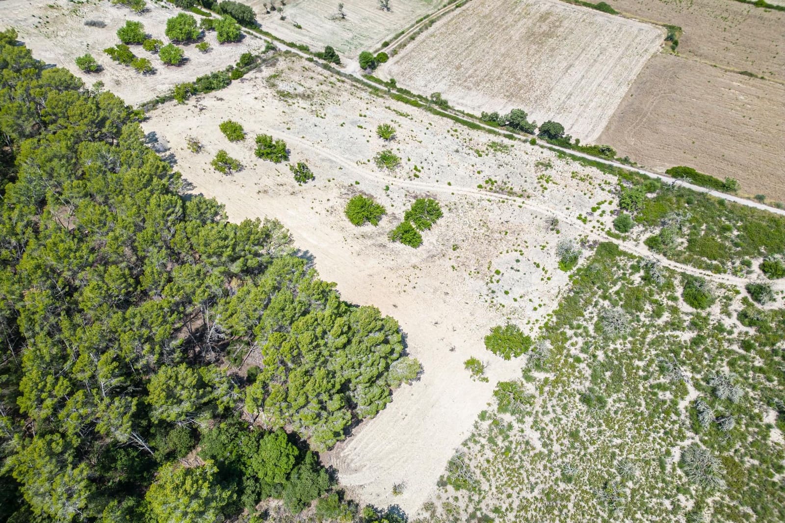 Building Plot for sale in Porreres - € 50,000 (Ref: 7717548)