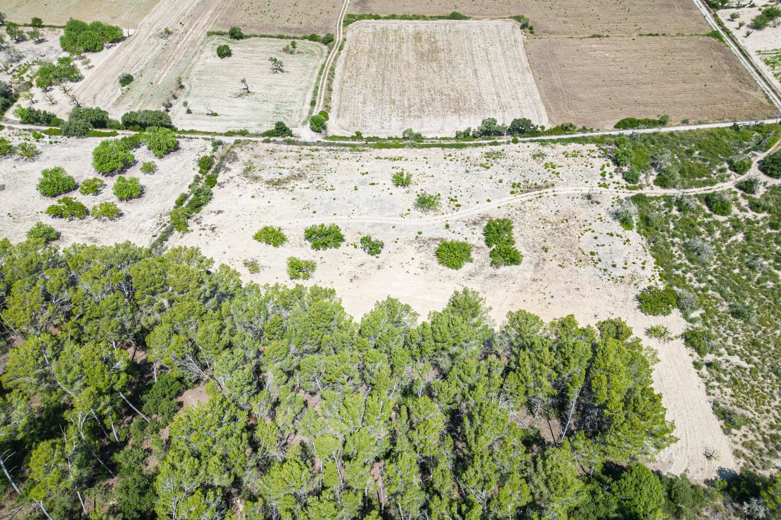 Building Plot for sale in Porreres - € 50,000 (Ref: 7717548)