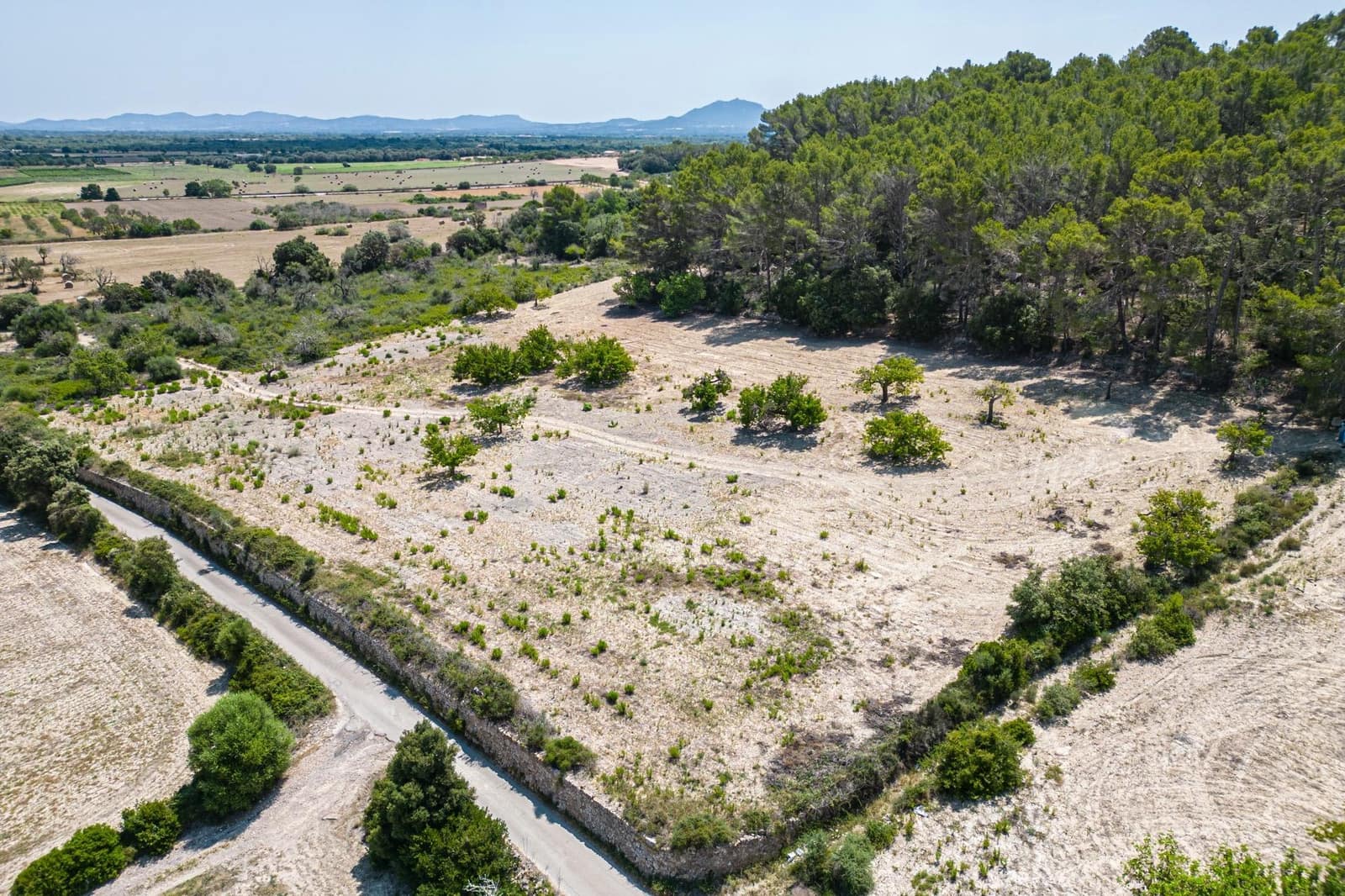 Building Plot for sale in Porreres - € 50,000 (Ref: 7717548)