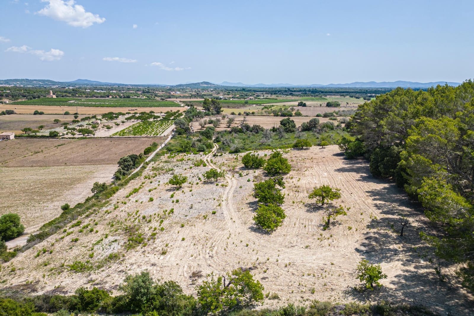 Building Plot for sale in Porreres - € 50,000 (Ref: 7717548)