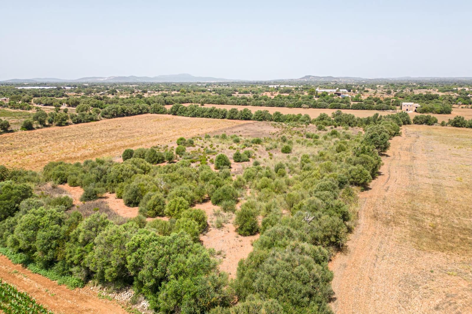 Terrain à Bâtir à vendre à Felanitx - 115 000 € (Ref: 7766797)