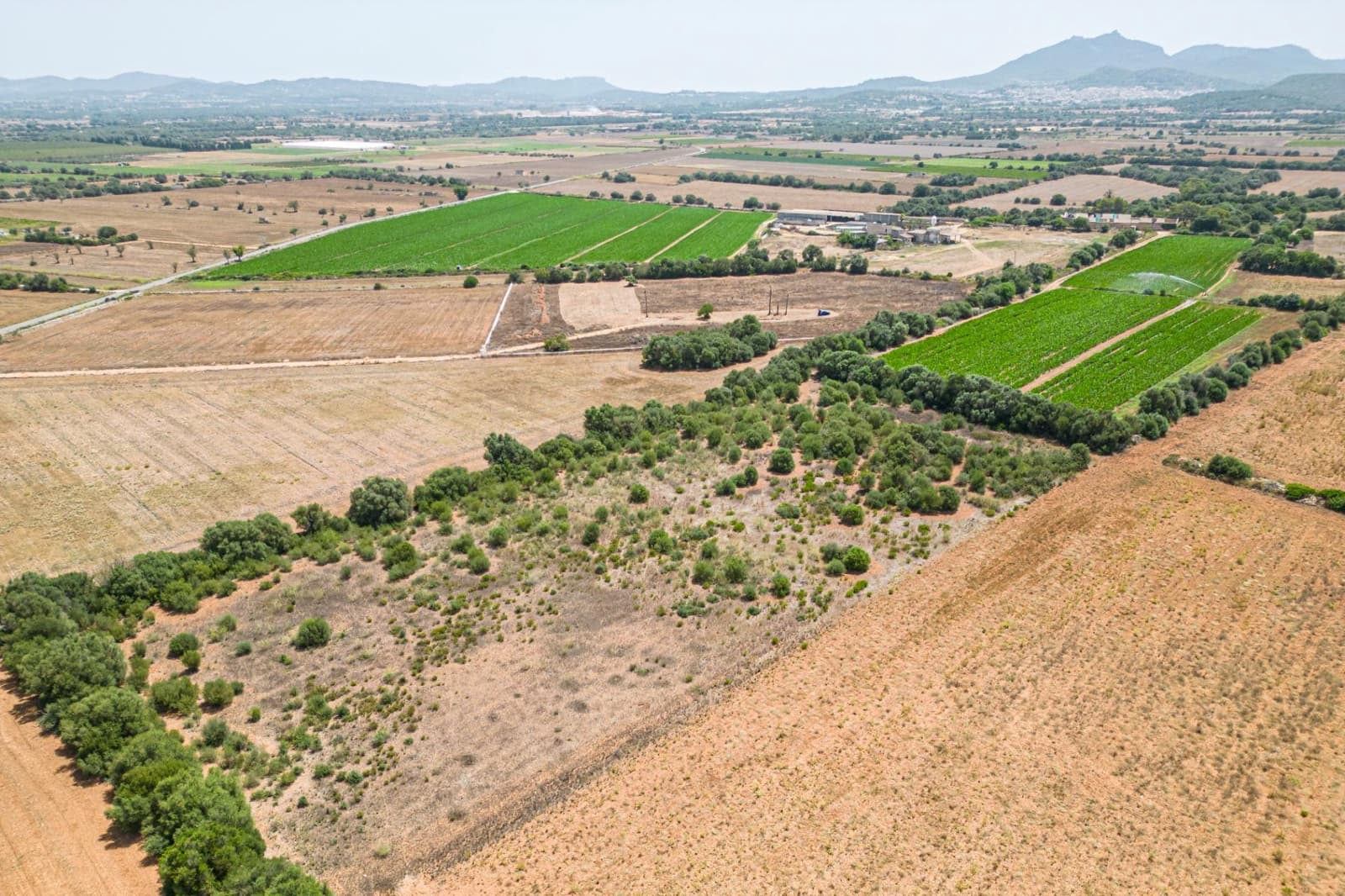 Terrain à Bâtir à vendre à Felanitx - 115 000 € (Ref: 7766797)