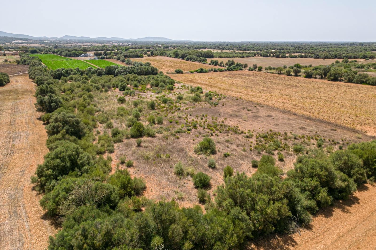 Terrain à Bâtir à vendre à Felanitx - 115 000 € (Ref: 7766797)