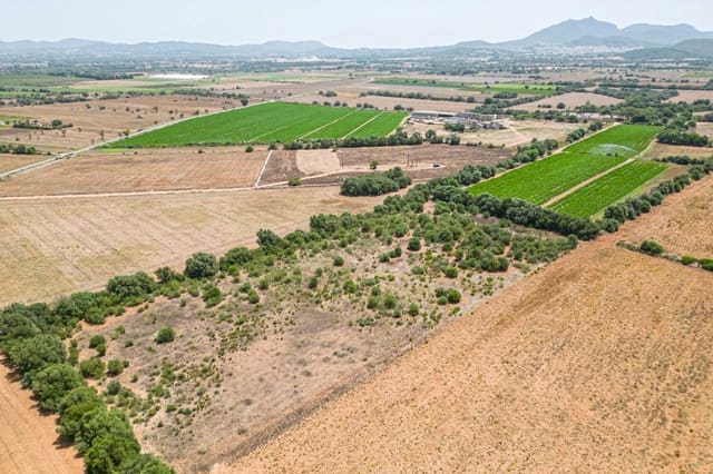 Terreno para Construção para venda em Felanitx - 115 000 € (Ref: 7766797)