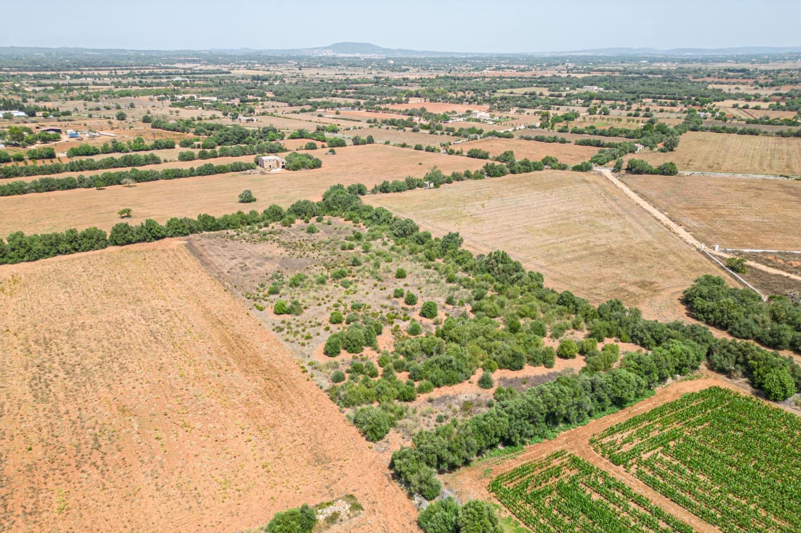 Terrain à Bâtir à vendre à Felanitx - 115 000 € (Ref: 7766797)