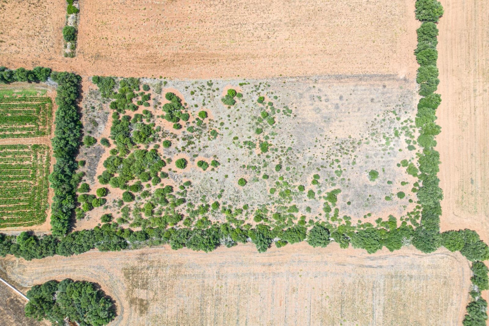 Terrain à Bâtir à vendre à Felanitx - 115 000 € (Ref: 7766797)