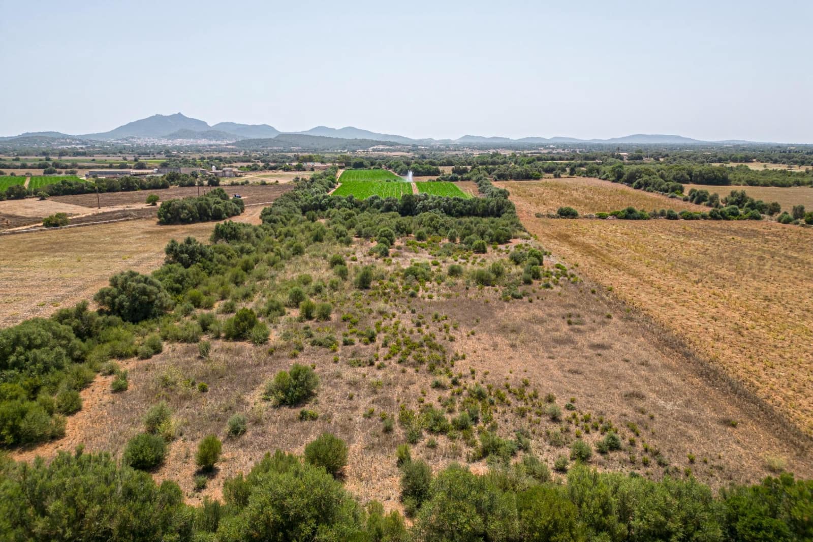 Terrain à Bâtir à vendre à Felanitx - 115 000 € (Ref: 7766797)