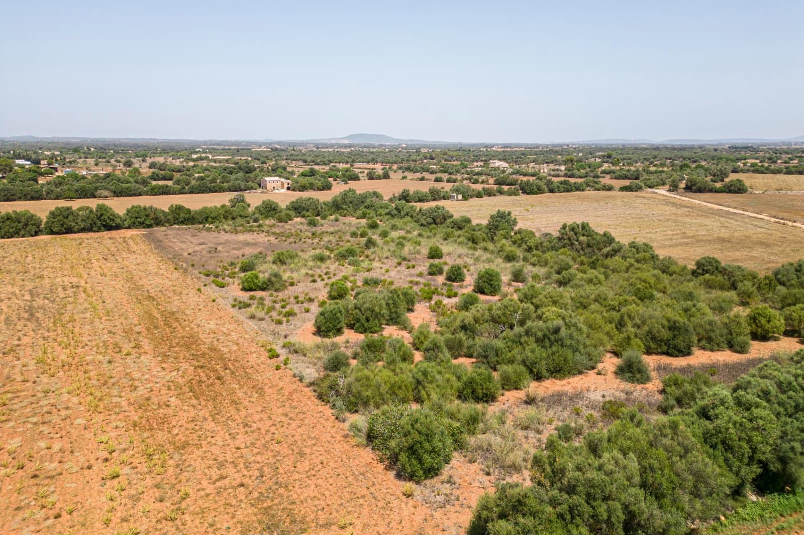 Terrain à Bâtir à vendre à Felanitx - 115 000 € (Ref: 7766797)