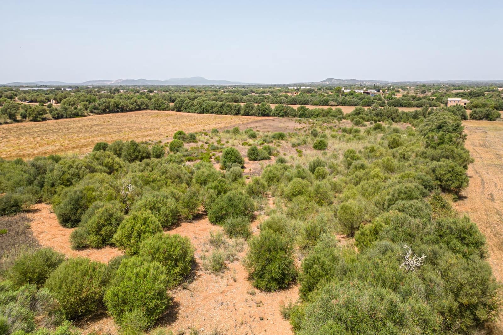 Terrain à Bâtir à vendre à Felanitx - 115 000 € (Ref: 7766797)