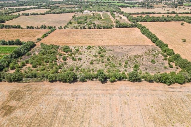 Terreno para Construção para venda em Felanitx - 115 000 € (Ref: 7766797)