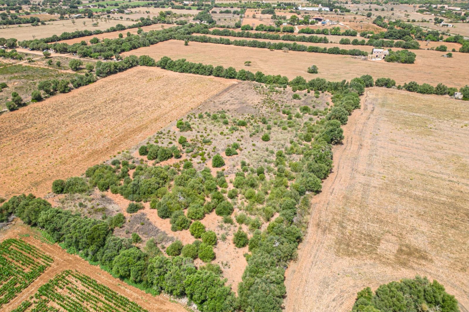 Terrain à Bâtir à vendre à Felanitx - 115 000 € (Ref: 7766797)