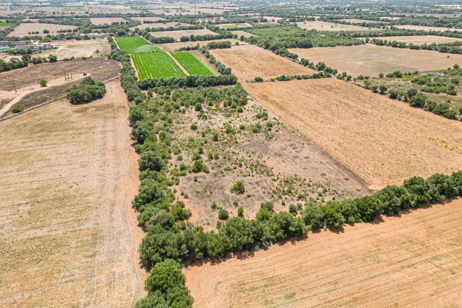 Terrain à Bâtir à vendre à Felanitx - 115 000 € (Ref: 7766797)