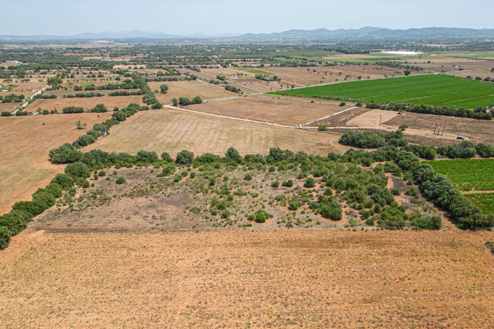 Terrain à Bâtir à vendre à Felanitx - 115 000 € (Ref: 7766797)