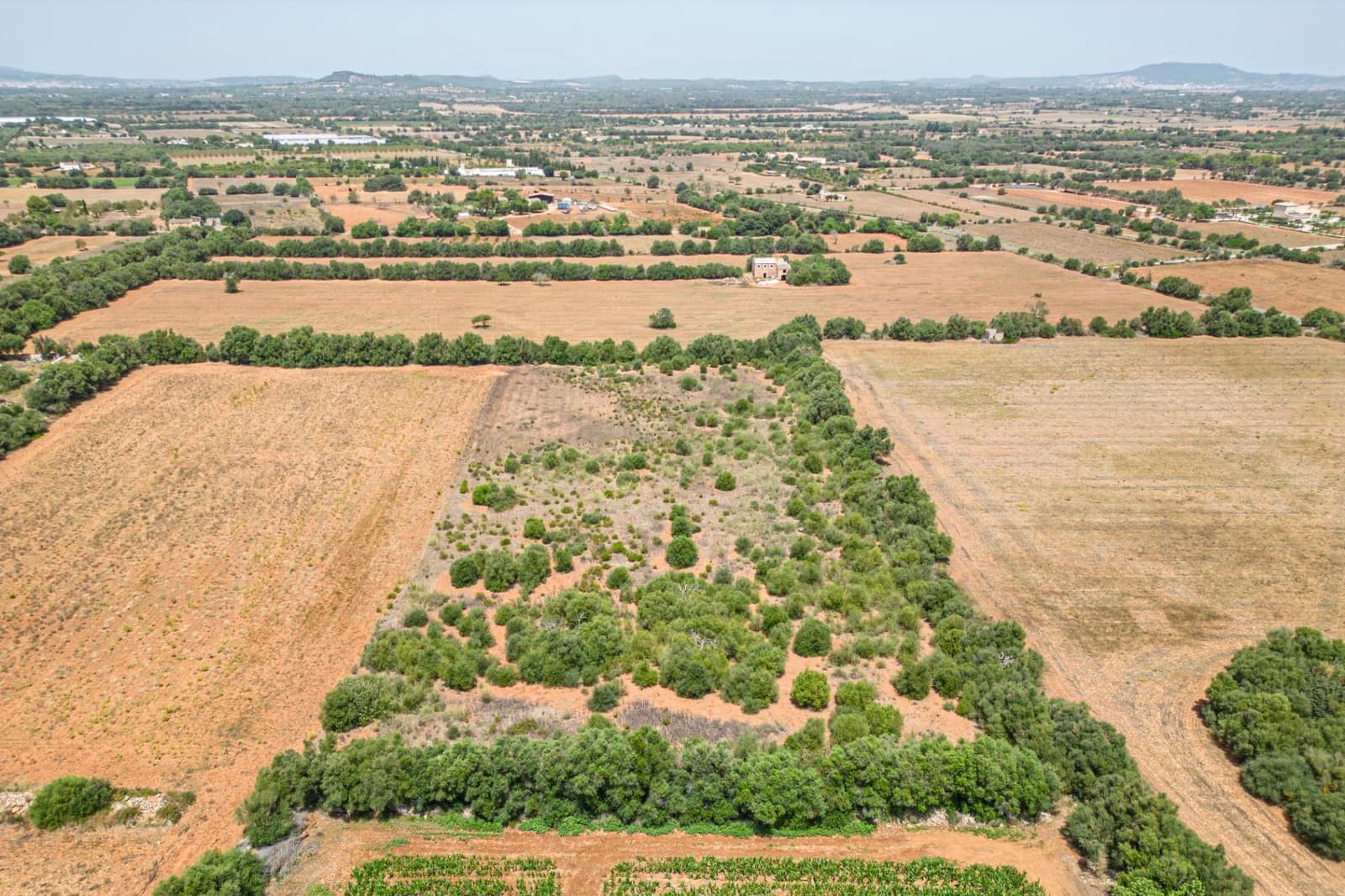 Terrain à Bâtir à vendre à Felanitx - 115 000 € (Ref: 7766797)