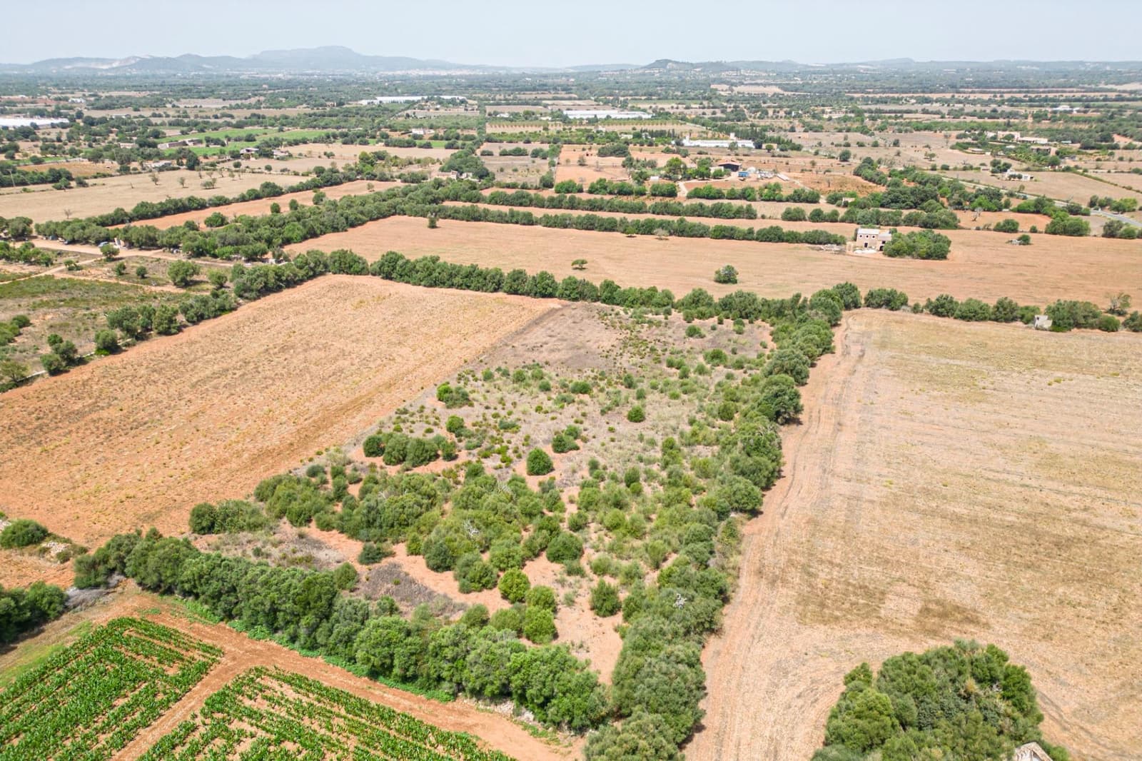 Terrain à Bâtir à vendre à Felanitx - 115 000 € (Ref: 7766797)