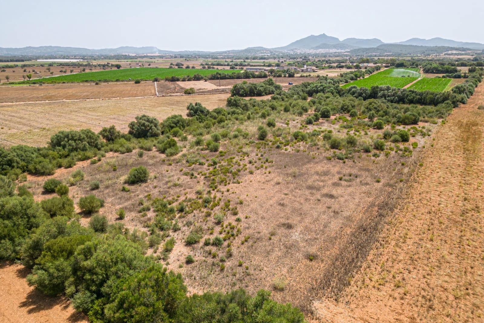 Terrain à Bâtir à vendre à Felanitx - 115 000 € (Ref: 7766797)