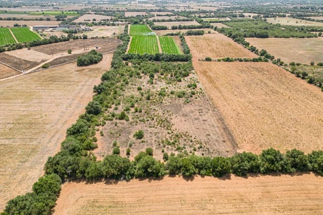 Terreno para Construção para venda em Felanitx - 115 000 € (Ref: 7766797)