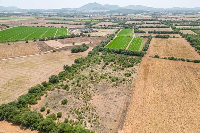 Terreno para Construção para venda em Felanitx - 115 000 € (Ref: 7766797)