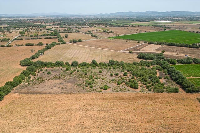 Terreno para Construção para venda em Felanitx - 115 000 € (Ref: 7766797)