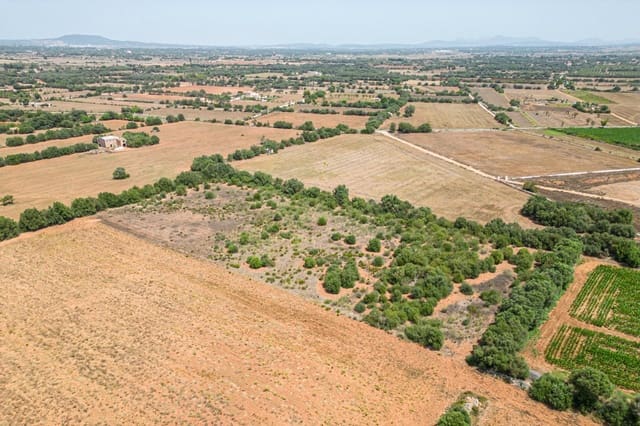 Terreno para Construção para venda em Felanitx - 115 000 € (Ref: 7766797)