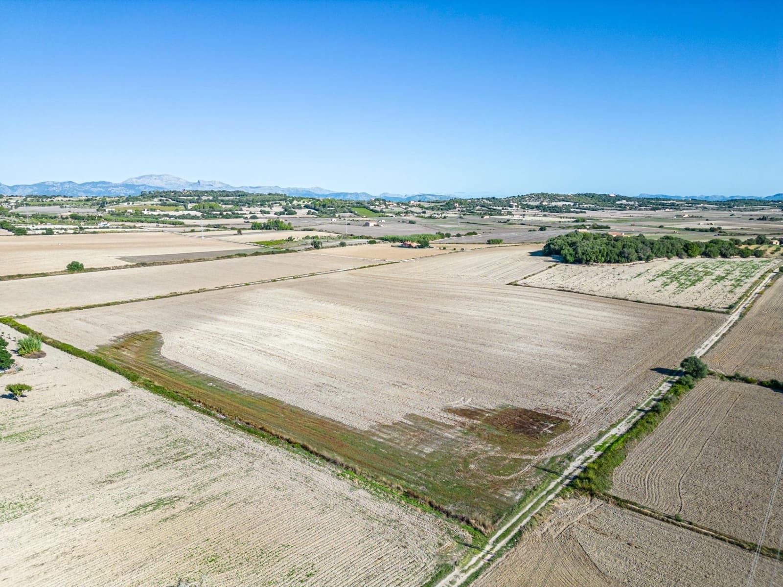 Area Edificabile in vendita in Maria de la Salud / Maria de la Salut - 300.000 € (Rif: 7832864)