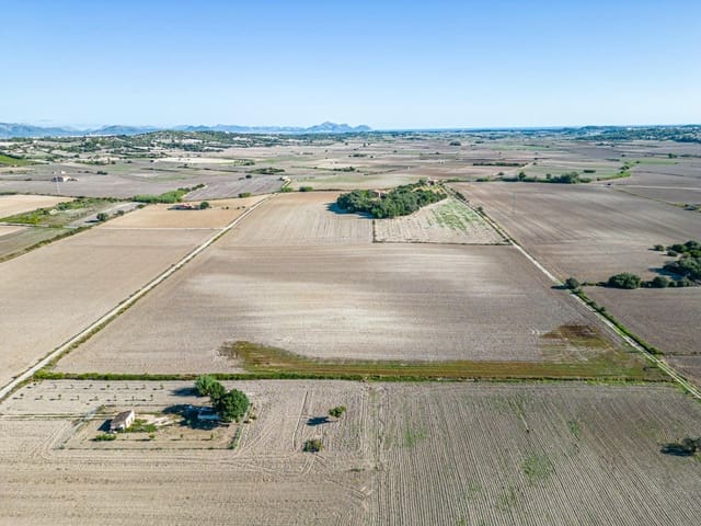 Tomt till salu i María de la Salud / María de la Salut - 300 000 € (Ref: 7832864)