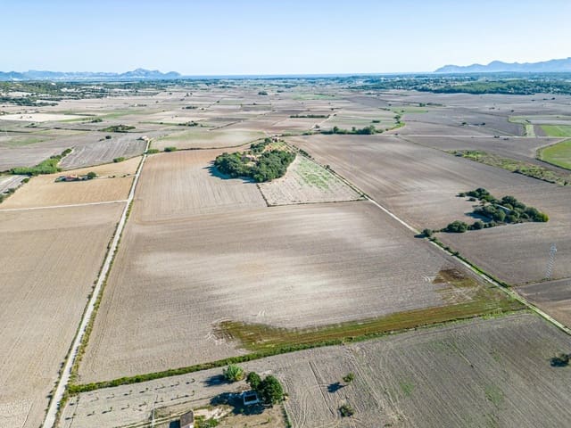 Tomt till salu i María de la Salud / María de la Salut - 300 000 € (Ref: 7832864)