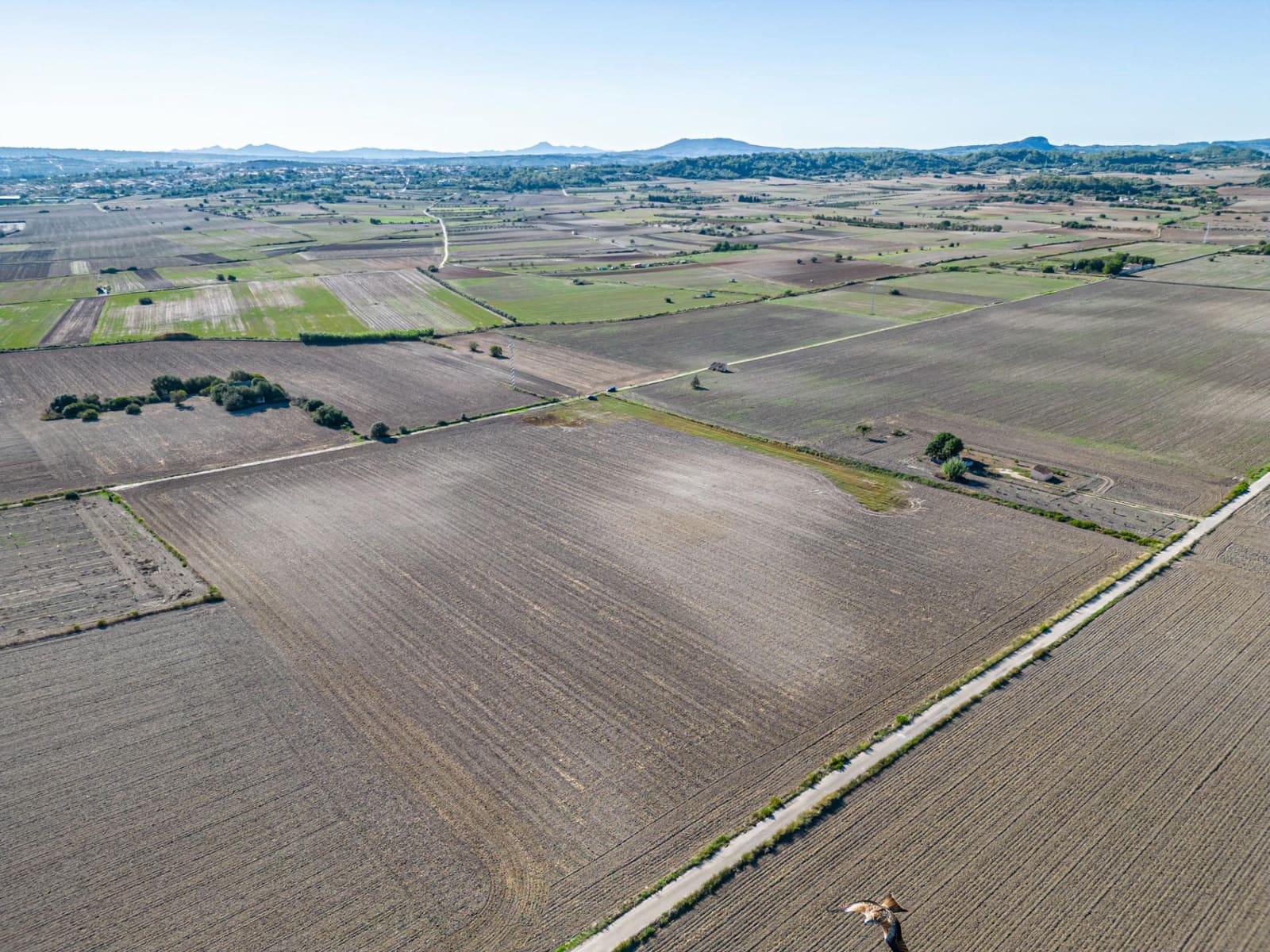 Area Edificabile in vendita in Maria de la Salud / Maria de la Salut - 300.000 € (Rif: 7832864)