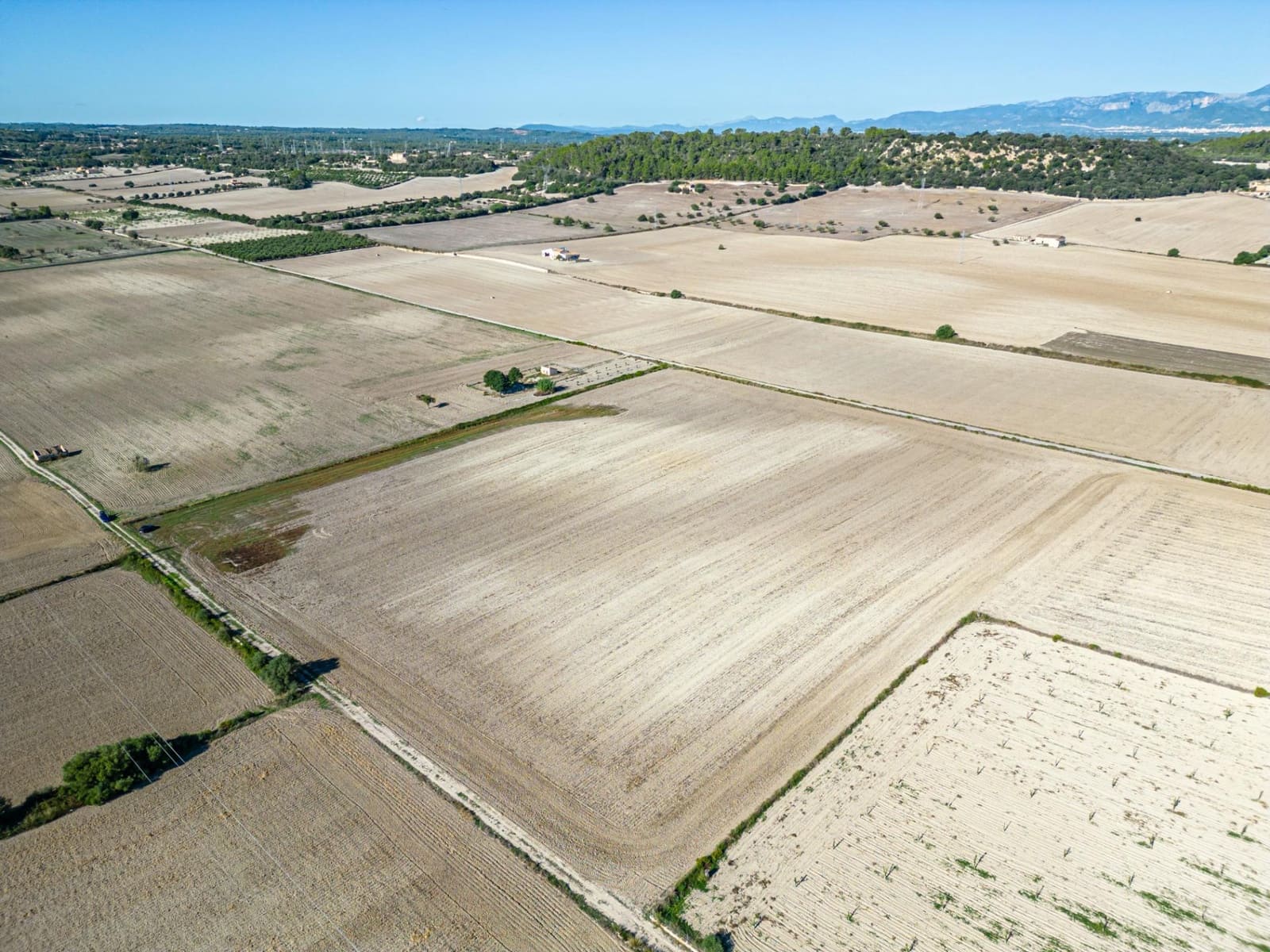 Area Edificabile in vendita in Maria de la Salud / Maria de la Salut - 300.000 € (Rif: 7832864)