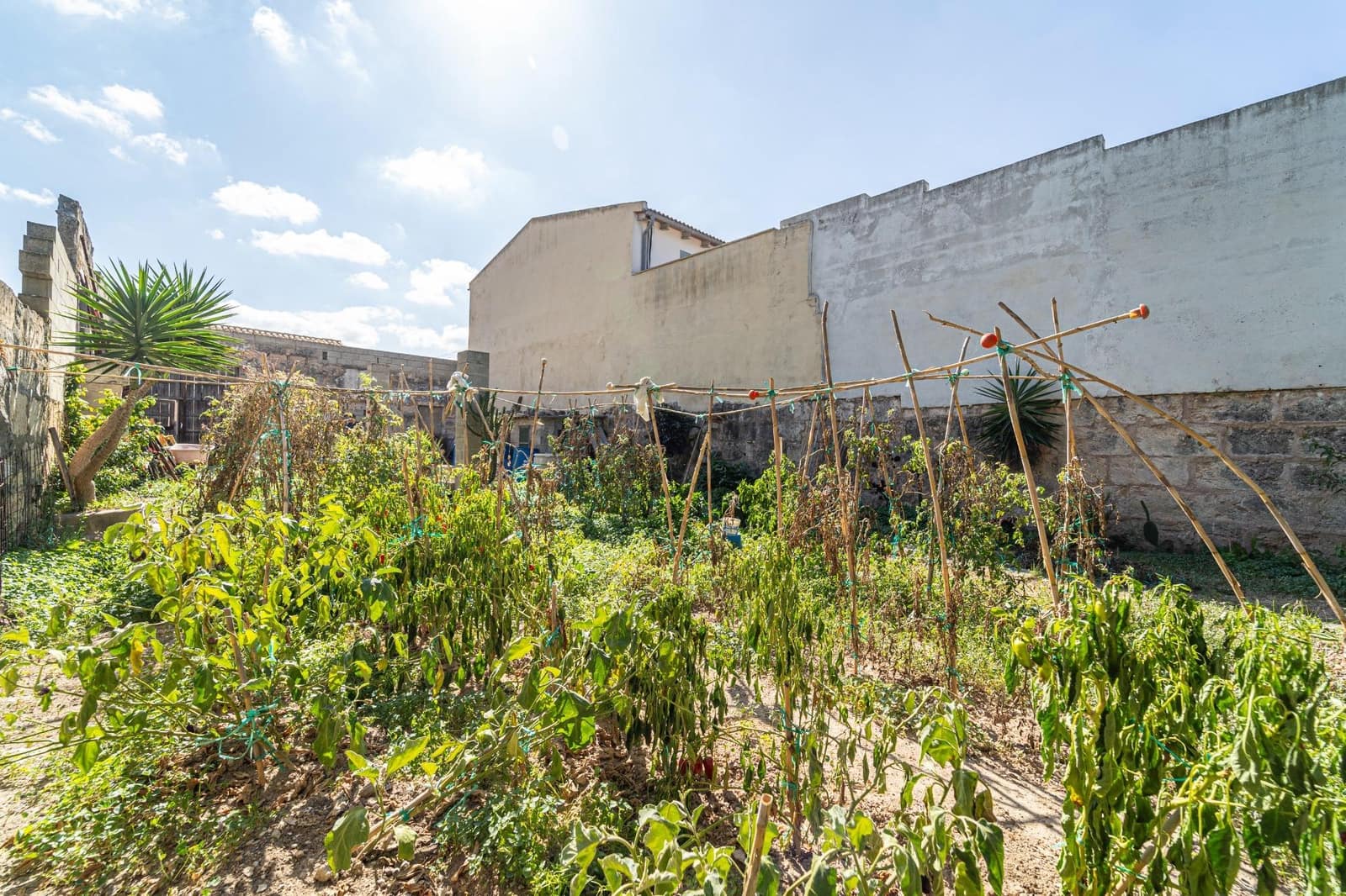 Bouwgrond te koop in Muro - € 146.000 (Ref: 7842964)