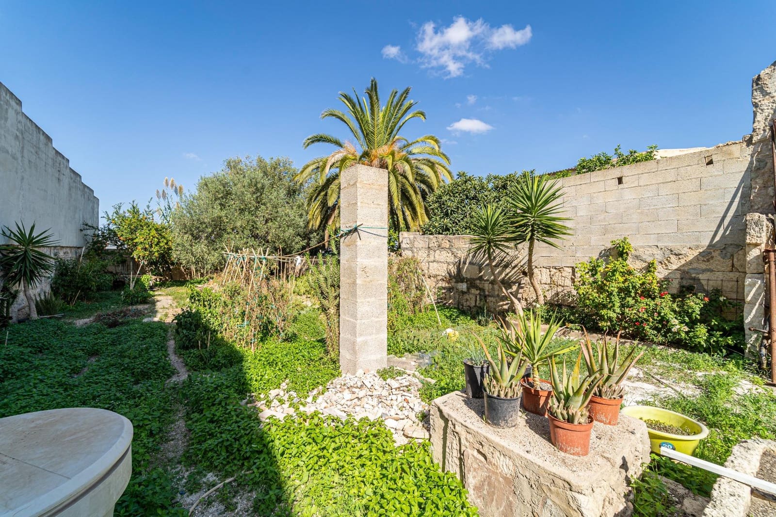 Bouwgrond te koop in Muro - € 146.000 (Ref: 7842964)