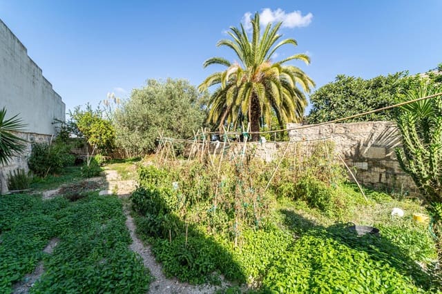 Tomt till salu i Muro - 146 000 € (Ref: 7842964)