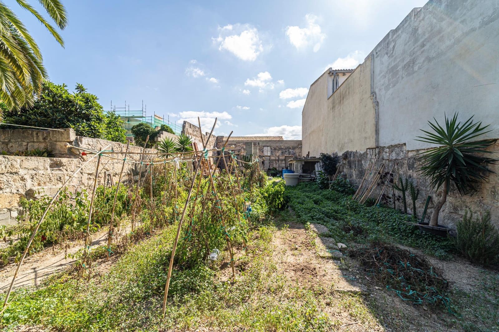 Bouwgrond te koop in Muro - € 146.000 (Ref: 7842964)