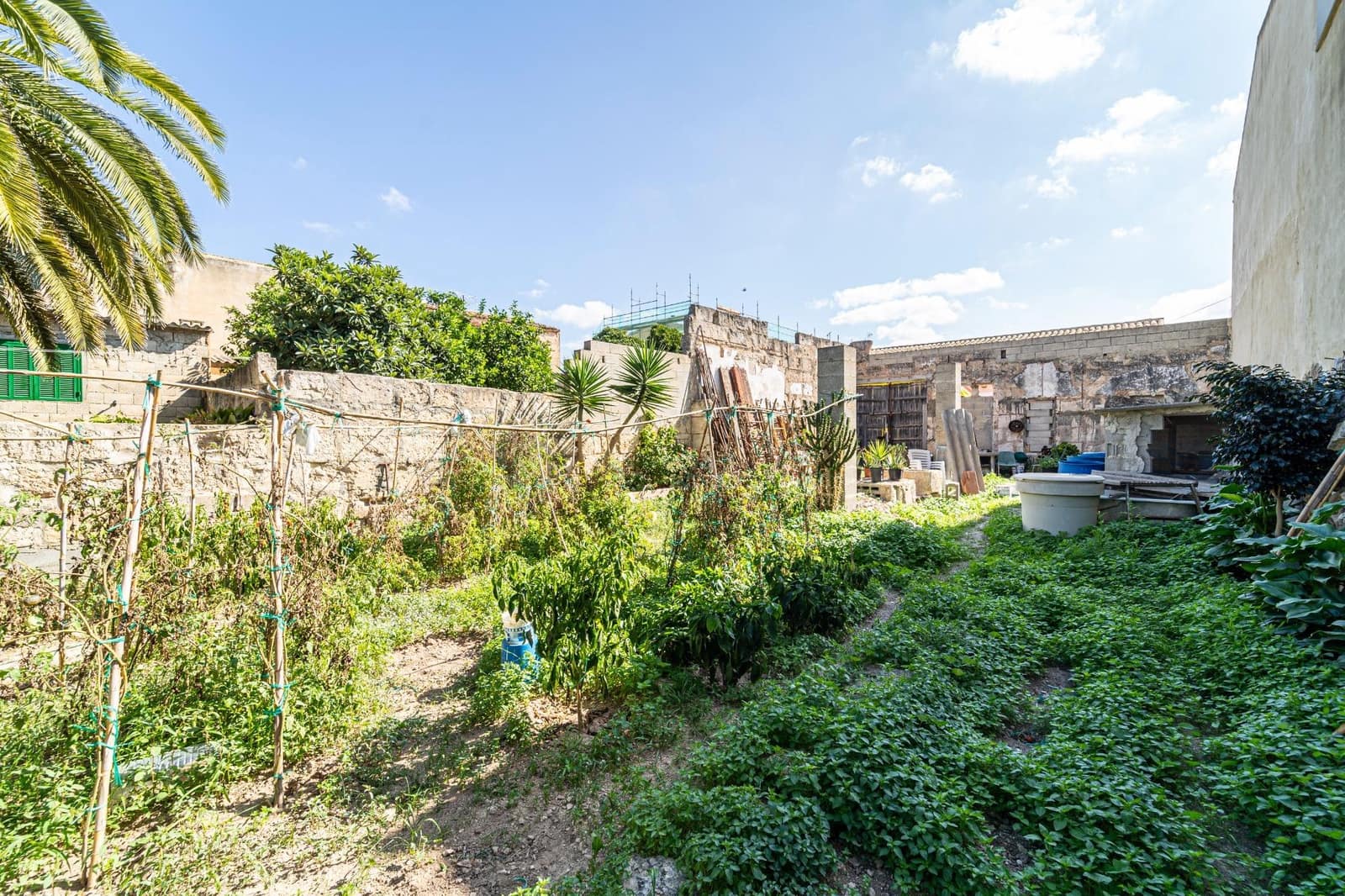 Bouwgrond te koop in Muro - € 146.000 (Ref: 7842964)