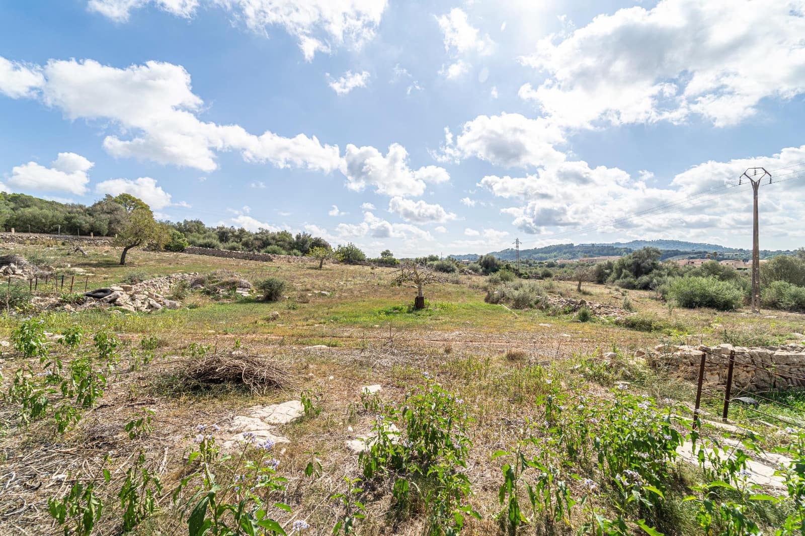 2 sypialnia Finka/Dom wiejski na sprzedaż w Manacor - 800 000 € (Ref: 7867731)