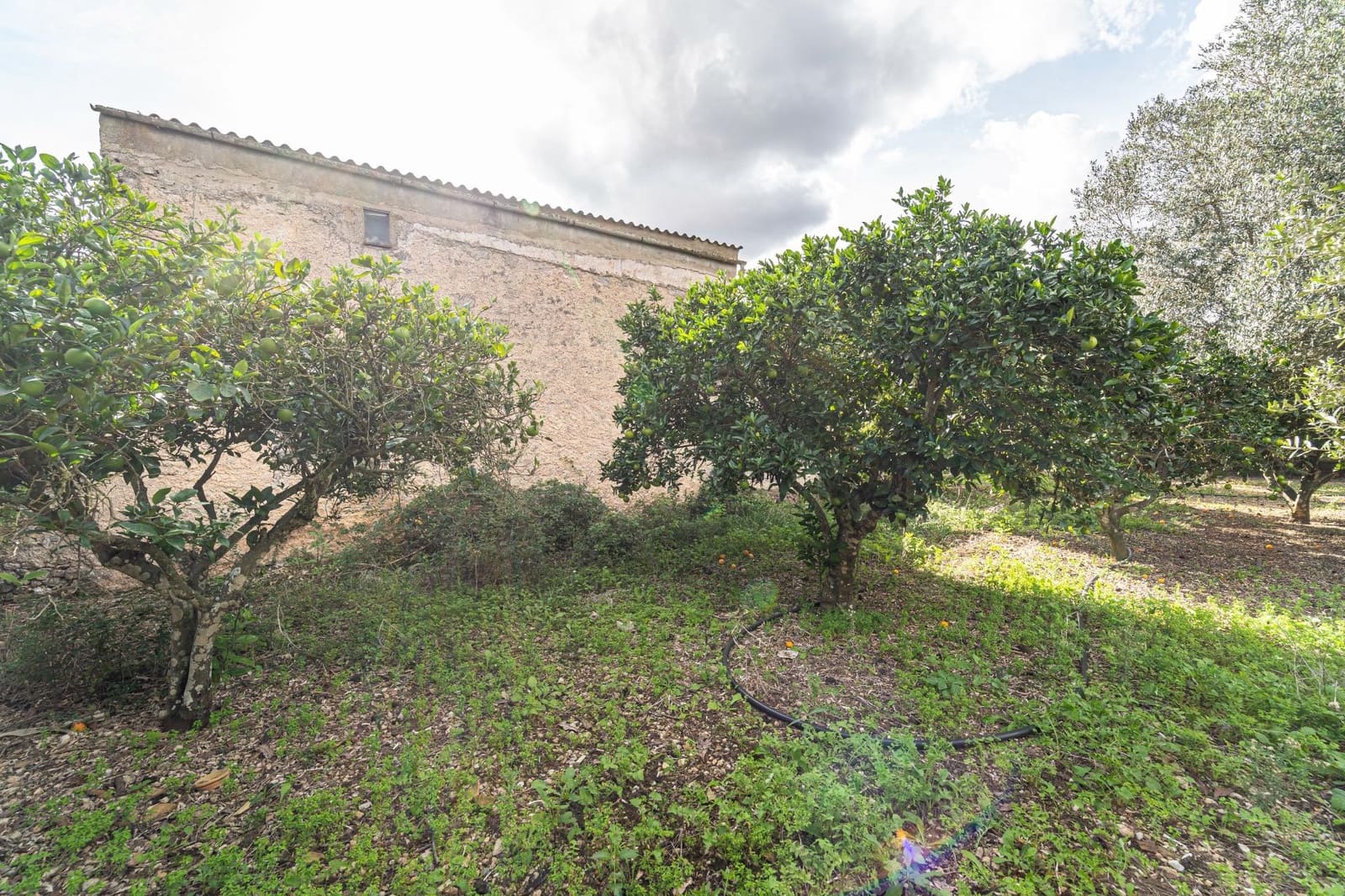 3 camera da letto Finca/Casa di Campagna in vendita in Son Servera - 599.000 € (Rif: 7903536)