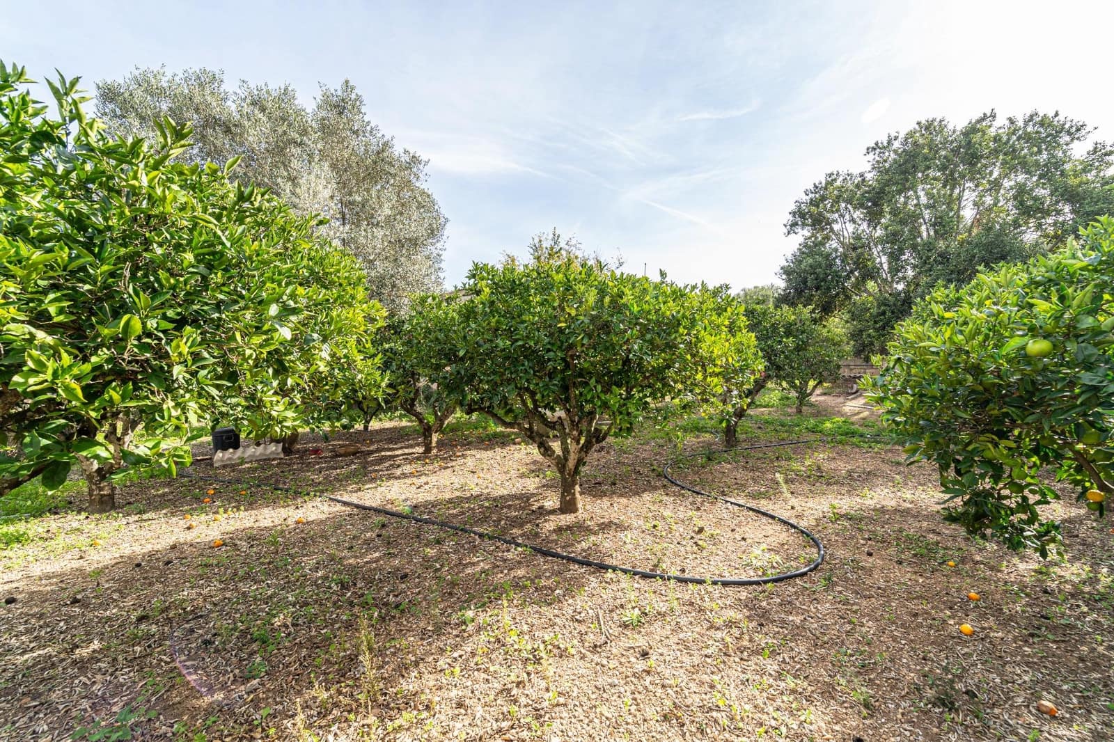 3 camera da letto Finca/Casa di Campagna in vendita in Son Servera - 599.000 € (Rif: 7903536)