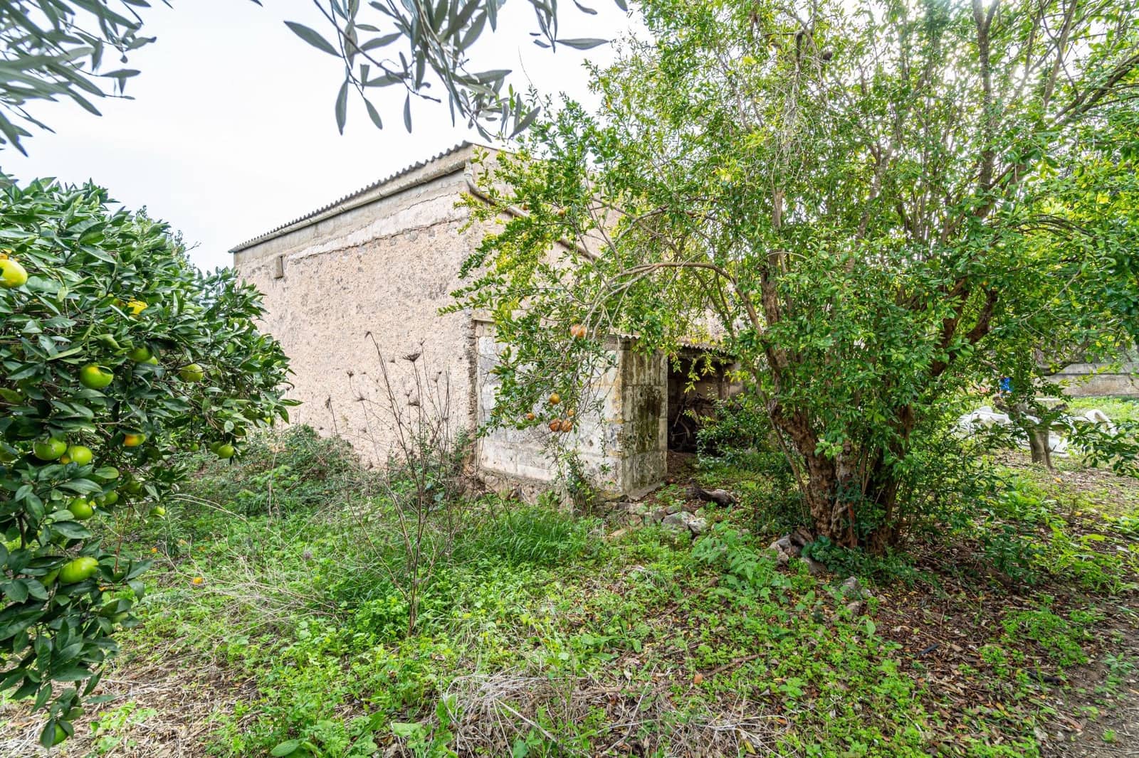 3 camera da letto Finca/Casa di Campagna in vendita in Son Servera - 599.000 € (Rif: 7903536)