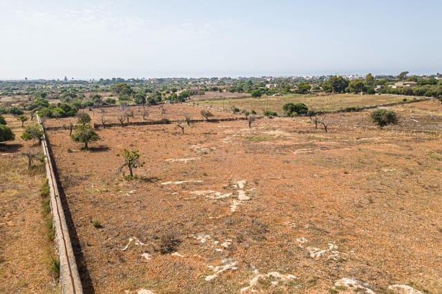 Building Plot for sale in Manacor - € 299,900 (Ref: 7913656)